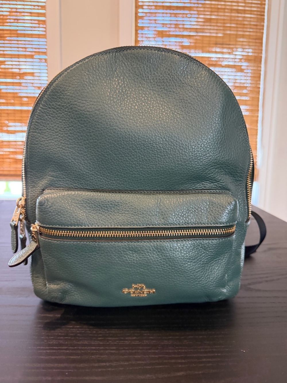 Coach Teal Pebbled Leather Mini Backpack